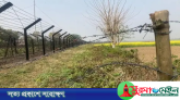 বাংলাদেশ সীমান্তে বেড়া দিতে বিএসএফকে জমি দিচ্ছে শুভেন্দু সরকার