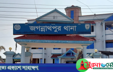 জগন্নাথপুরে ডোবার পাশে মিললো নারীর ক্ষতবিক্ষত লাশ
