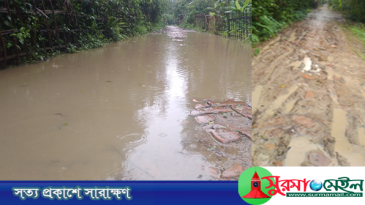বর্ষায় জলাবদ্ধতা, শুকনোতে গর্ত! জকিগঞ্জে এক সড়কের দুর্ভোগে ৫ গ্রাম