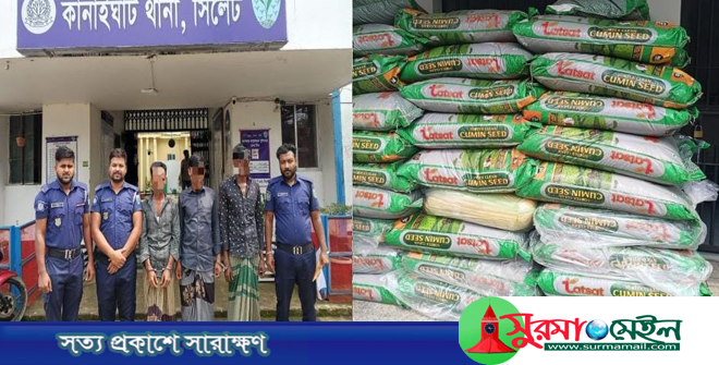 কানাইঘাটে ভারতীয় জিরার চালানসহ ৩ চোরাকারবারি গ্রেপ্তার