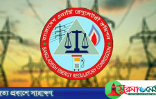 ৭৫ ইউনিট পর্যন্ত আগের দামে বিদ্যুৎ