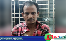 সিলেটে স্ত্রী-শাশুড়িকে কোপালেন জামাতা!