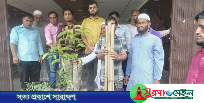কানাইঘাটে প্রান্তিক কৃষকদের মাঝে বিনামূল্যে সার বীজ ও চারা বিতরণ
