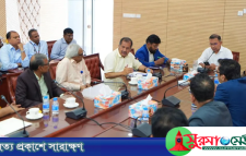 গণমাধ্যমে সত্যকে সত্য হিসেবেই তুলে ধরার আহ্বান প্রধানমন্ত্রীর