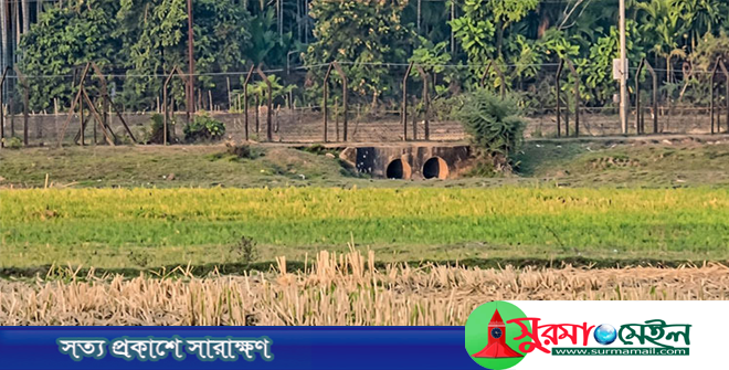 সিলেট সীমান্তে উত্তেজনার মধ্যেই আটক ভারতীয় কৃষককে ফেরত দিল বিজিবি