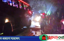 ফরিদপুরে বাসচাপায় পাঁচজন নিহত