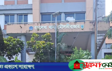 বড়লেখায় প্রবাসীর স্ত্রীকে ধর্ষণচেষ্টার অভিযোগে ২ যুবক আটক