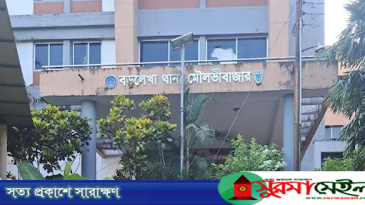 বড়লেখায় প্রবাসীর স্ত্রীকে ধর্ষণচেষ্টার অভিযোগে ২ যুবক আটক