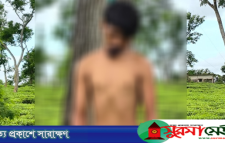হবিগঞ্জে খেলা শেষে চা বাগানে মিললো ব্রাজিল সমর্থকের মৃতদেহ