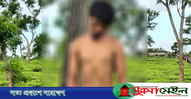 হবিগঞ্জে খেলা শেষে চা বাগানে মিললো ব্রাজিল সমর্থকের মৃতদেহ