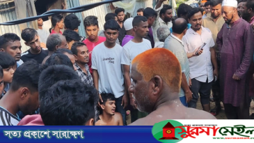 চুনারুঘাটে বিদ্যুৎস্পৃষ্টে দুই ভাইয়ের মৃত্যু, আহত ২