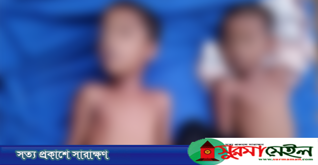 হবিগঞ্জে পানিতে ডুবে দুই ভাইয়ের মৃত্যু