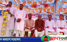 বিএনপির নেতাকর্মীরা ‘মাদক ব্যবসা ও চাঁদাবাজি’র সঙ্গে সম্পৃক্ত: নাসীরুদ্দীন পাটওয়ারী