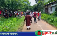 স্ত্রীকে হত্যার পর উঠানে মাটিচাপা, ‘নাটক সাজিয়ে’ও শেষ রক্ষা হলোনা স্বামীর