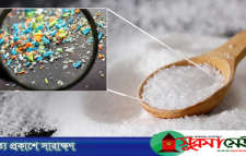 টুথপেস্ট-সয়াবিন তেলের পর এবার চিনিতে মিলল মাইক্রোপ্লাস্টিক