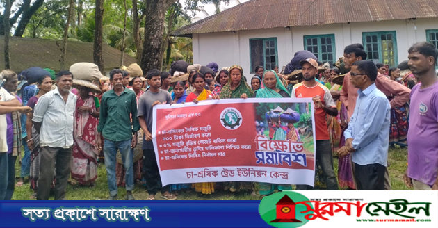 কুলাউড়ায় ৫০০ টাকা মজুরিসহ ১০ দফা দাবি চা-শ্রমিকদের