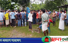 পাটক্ষেতে কাজ করার সময় বজ্রপাতে বাবা-ছেলের মৃত্যু, আহত ২
