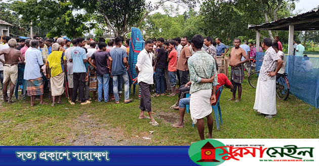 পাটক্ষেতে কাজ করার সময় বজ্রপাতে বাবা-ছেলের মৃত্যু, আহত ২