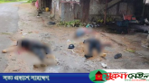 খাগড়াছড়িতে ইউপিডিএফ-জেএসএস গোলাগুলি, নিহত ৩