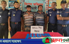 ঠাকুরগাঁওয়ে বিপুল পরিমাণ ইয়াবাসহ দুই মাদক বিক্রেতা গ্রেপ্তার