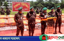 সিলেট সীমান্তে আড়াই কোটি টাকার ভারতীয় পণ্য জব্দ