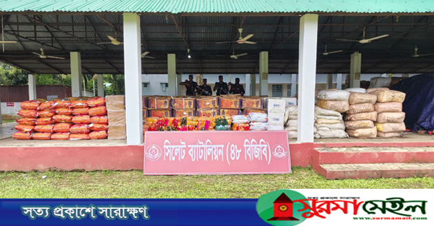 সিলেট সীমান্তে সোয়া ২ কোটি টাকার চোরাই পণ্য জব্দ