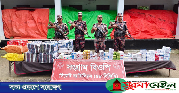 সিলেটে ৭৩ লাখ টাকার ভারতীয় পণ্য জব্দ