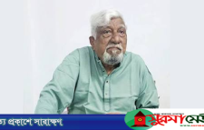 গলায় রামদা ঠেকিয়ে এমপি নাছিরের সম্পত্তি লিখে নেওয়ার অভিযোগ
