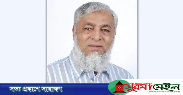 সিলেট মহানগর বিএনপির সভাপতির দায়িত্বে ফিরলেন নাসিম হোসাইন