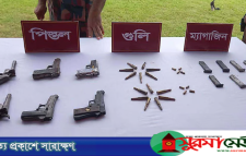 সাতছড়ি বনের গহীন থেকে ৬ পিস্তল ও গুলি উদ্ধার