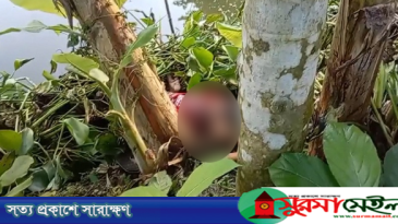 পাওনা টাকা নিয়ে বিরোধ, হবিগঞ্জে ভাইয়ের ছুরিকাঘাতে ছোট বোন খুন