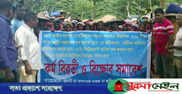 সিলেটে ৫ দফা দাবিতে চা শ্রমিকদের কর্মবিরতি ও বিক্ষোভ