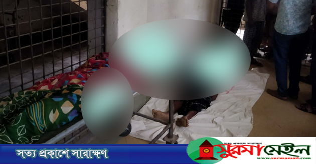 ঠাকুরগাঁওয়ে বজ্রপাতে নারীসহ দুজনের মৃত্যু, আহত ২