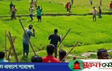 হবিগঞ্জে দুই পক্ষের সংঘর্ষে ২০ জন আহত