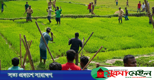 হবিগঞ্জে দুই পক্ষের সংঘর্ষে ২০ জন আহত