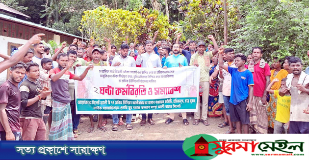 ৫০০টাকা মজুরিসহ ৪ দাবিতে সিলেটে চা শ্রমিকদের কর্মবিরতি-বিক্ষোভ মিছিল