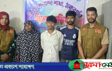 ডিবির অভিযানে ২৬০ পিস ইয়াবাসহ নারীসহ গ্রেপ্তার ৩