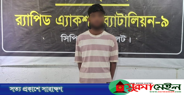 নবীগঞ্জে পাওনা টাকার জেরে বোনকে হত্যা, ঘাতক ভাই সিলেটে গ্রেপ্তার