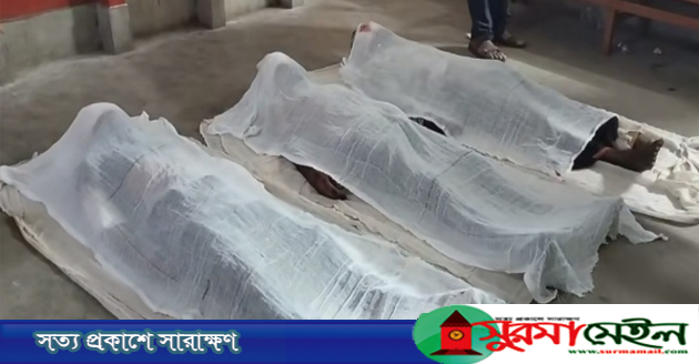 শ্রীমঙ্গলে বাস-সিএনজি মুখোমুখি সংঘর্ষে নিহত ৩