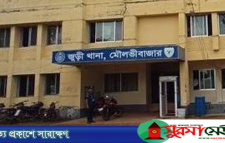 মৌলভীবাজারে পানিতে ডুবে দুই ভাইয়ের মৃত্যু