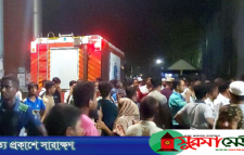 ময়মনসিংহ মেডিকেল কলেজ হাসপাতালে আগুন, পদদলিত হয়ে নিহত ৬