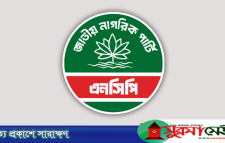 ঠাকুরগাঁওয়ে এনসিপির ৬ উপজেলা ও ২ পৌরসভায় আংশিক আহ্বায়ক কমিটি