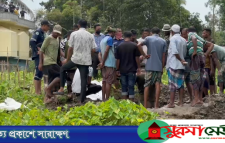 নবীগঞ্জে মৃত্যুর রহস্য উদঘাটনে তিন বছর পর কবর থেকে লাশ উত্তোলন