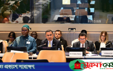 রোহিঙ্গা সংকটের দীর্ঘস্থায়ী সমাধানে জাতিসংঘে ৫ প্রস্তাব প্রধানমন্ত্রীর