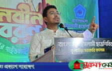 সাত মাসের মধ্যেই বৈষম্য শুরু করেছে বিএনপি সরকার: ডাকসু ভিপি