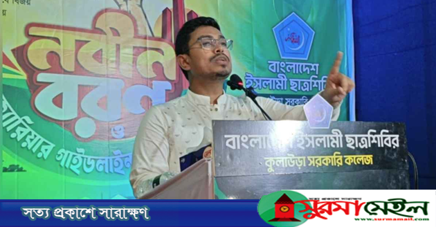 সাত মাসের মধ্যেই বৈষম্য শুরু করেছে বিএনপি সরকার: ডাকসু ভিপি