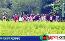 কানাইঘাটে আধিপত্য বিস্তার নিয়ে দু’পক্ষের সংঘর্ষে আহত অর্ধশতাধিক