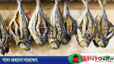 সামুদ্রিক শুঁটকির মধ্যেও মাইক্রো প্লাস্টিক