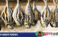 সামুদ্রিক শুঁটকির মধ্যেও মাইক্রো প্লাস্টিক