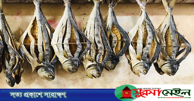 সামুদ্রিক শুঁটকির মধ্যেও মাইক্রো প্লাস্টিক